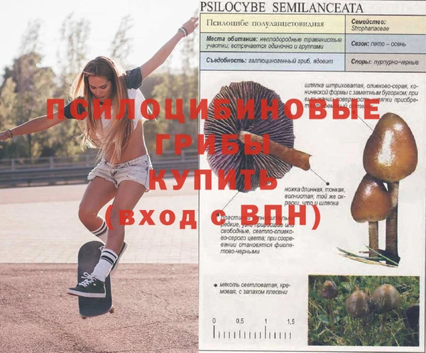 герыч Арсеньев