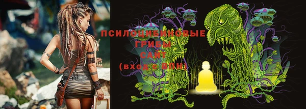 герыч Арсеньев