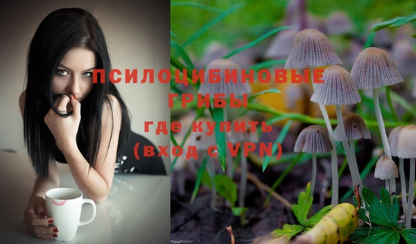 гашиш Аркадак