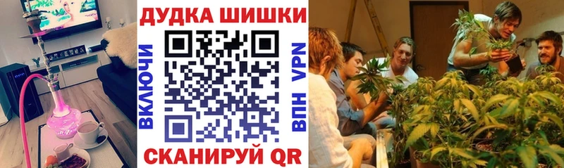 Марихуана MAZAR  продажа наркотиков  Волхов 